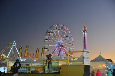 DSC_7745 (Large).JPG